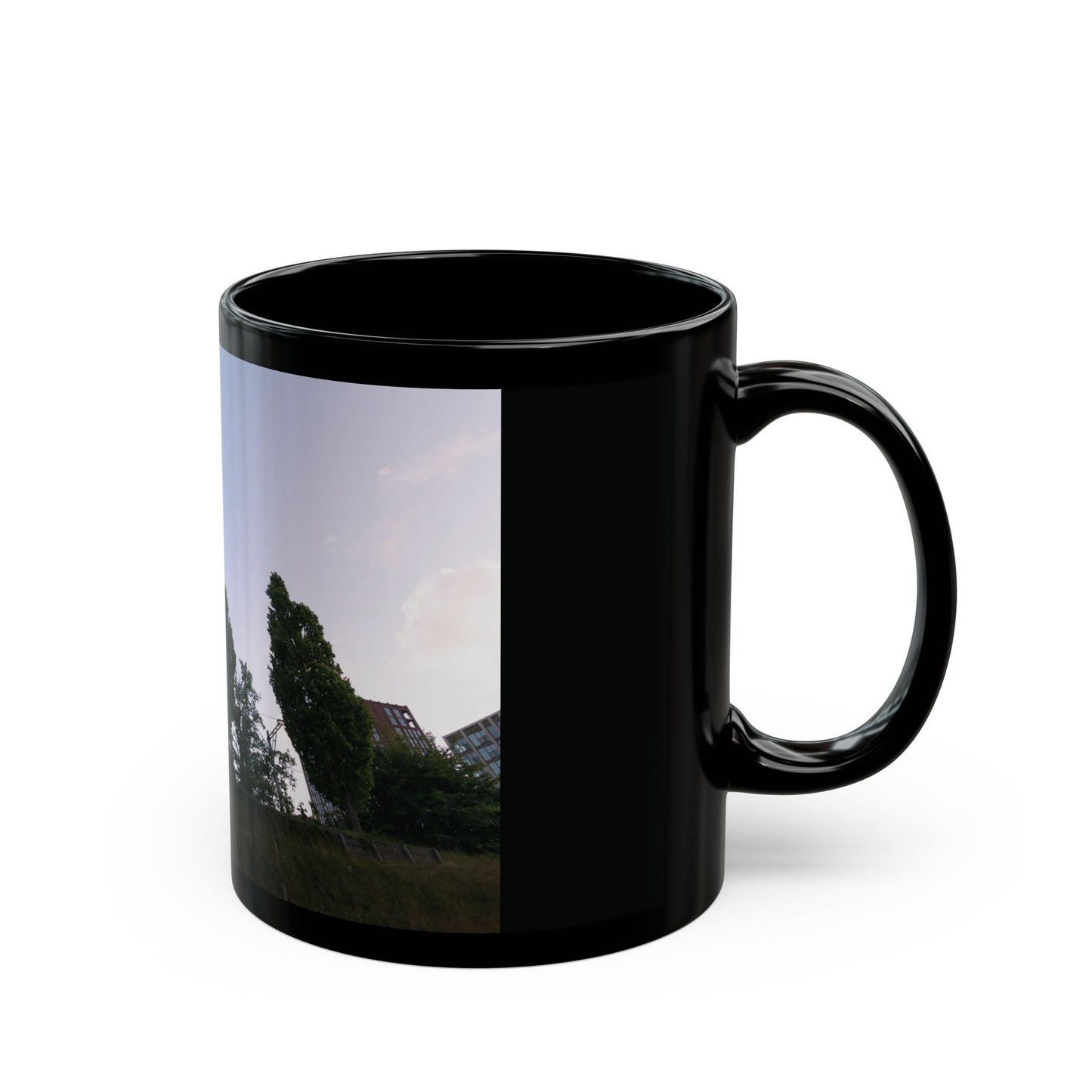 Leiden Vista Lammenschans Station Mug 11oz 15oz