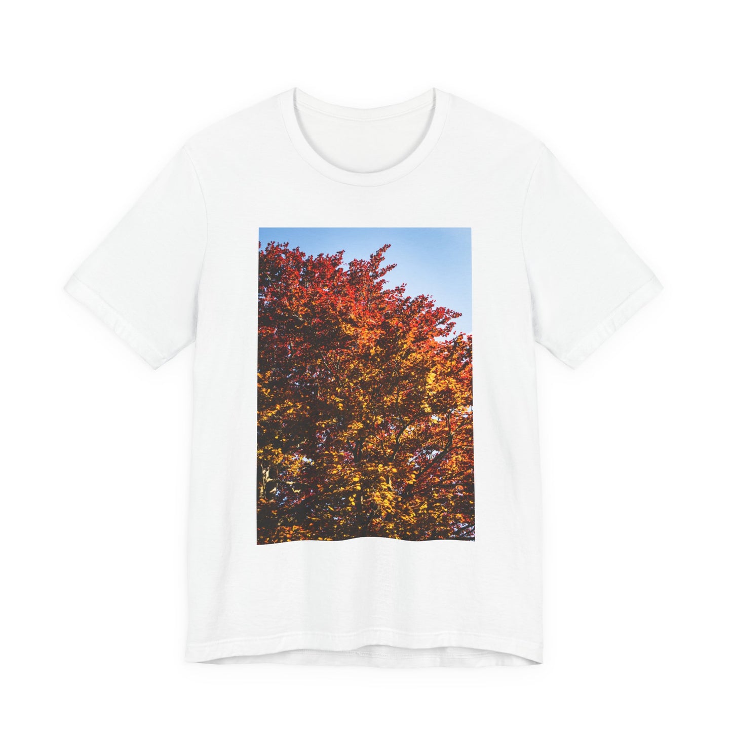 Red & Stone Burcht Leiden Unisex Tee | The StudioTJ Signature Collection