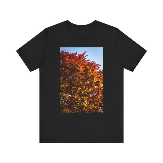 Red & Stone Burcht Leiden Unisex Tee | The StudioTJ Signature Collection